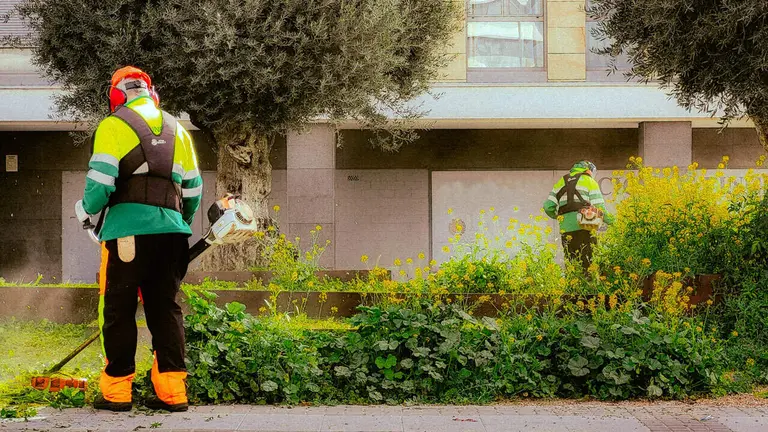O equipo de Terra Limpa est&aacute; especializado no coidado de espazos verdes en Ourense.