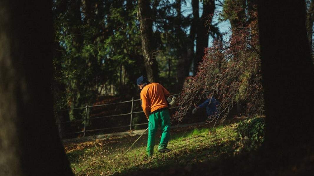 Terra Limpa: servicios de jardinería integral y desbroces en Ourense