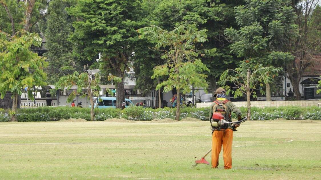 Terra Limpa: servicios de jardinería integral y desbroces en Ourense