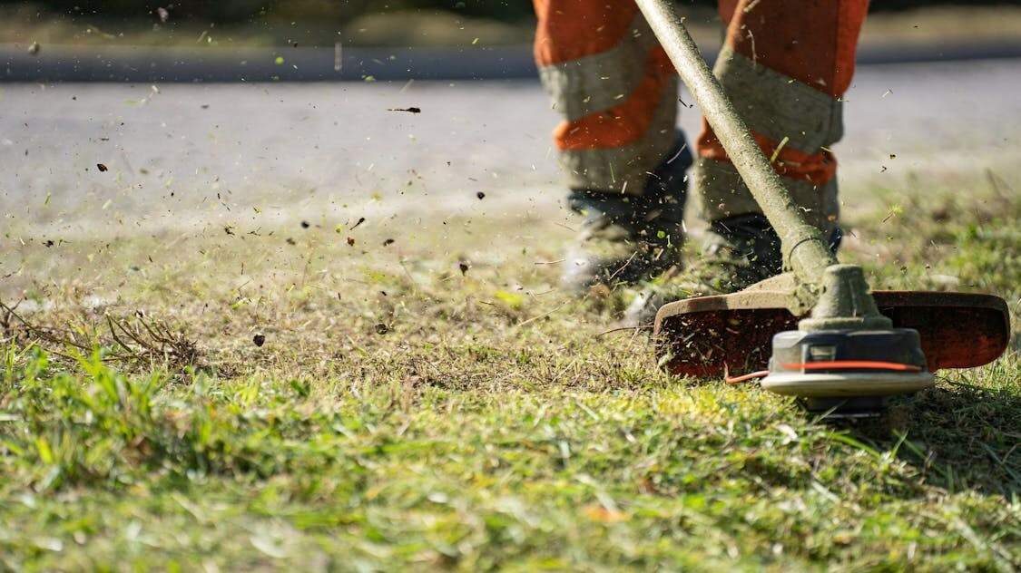 Terra Limpa: servizos de xardinería integral e desbroces en Ourense