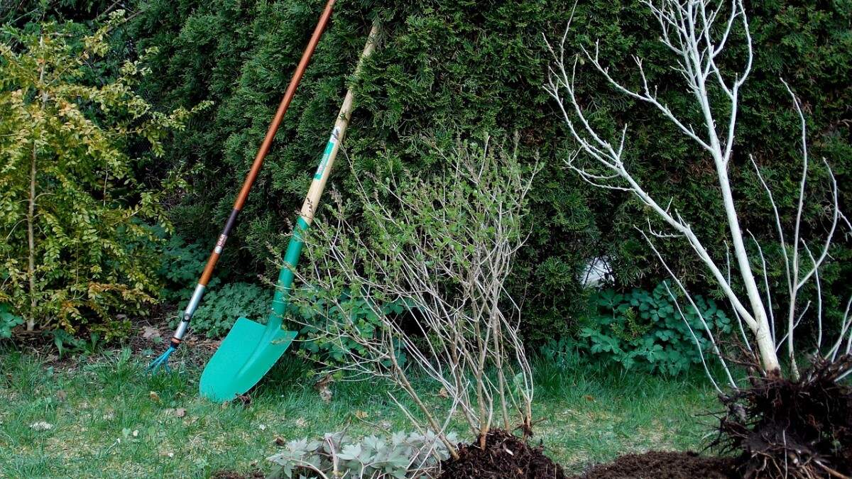 Jardinería integral Ourense